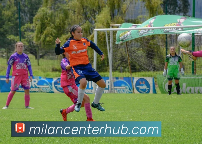 米兰体育平台生态图